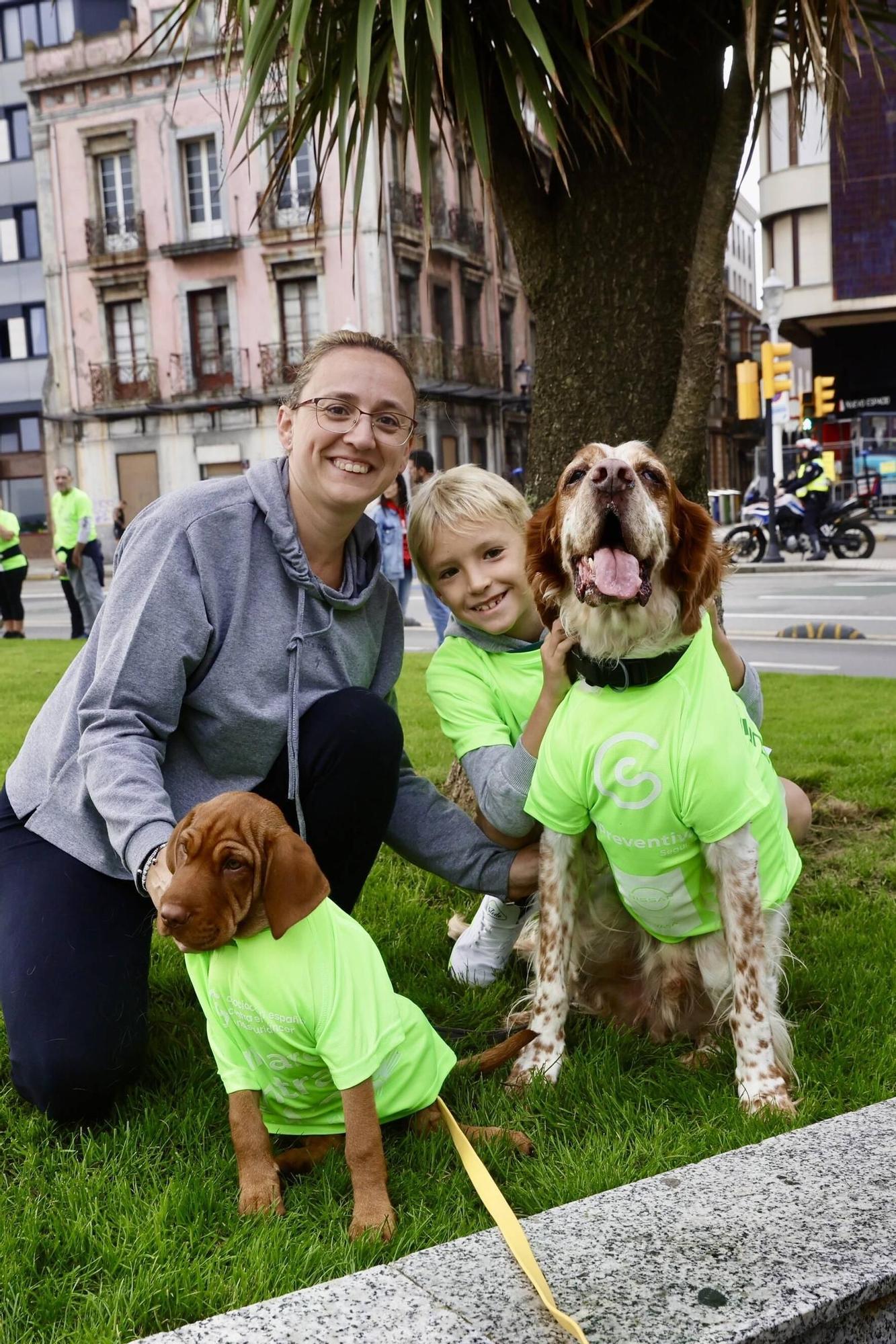 Así fue la carrera contra el cáncer de Gijón: en imágenes