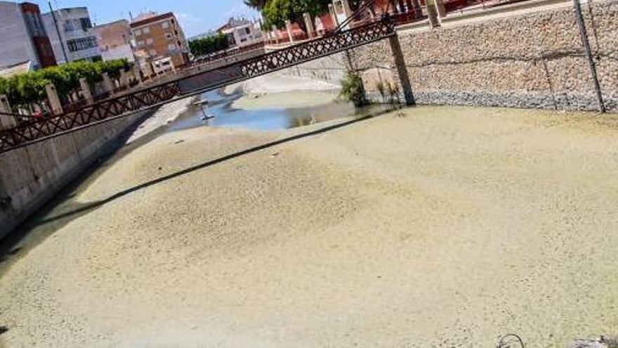 Una imagen del río Segura captada ayer a su paso por el término municipal de Rojales