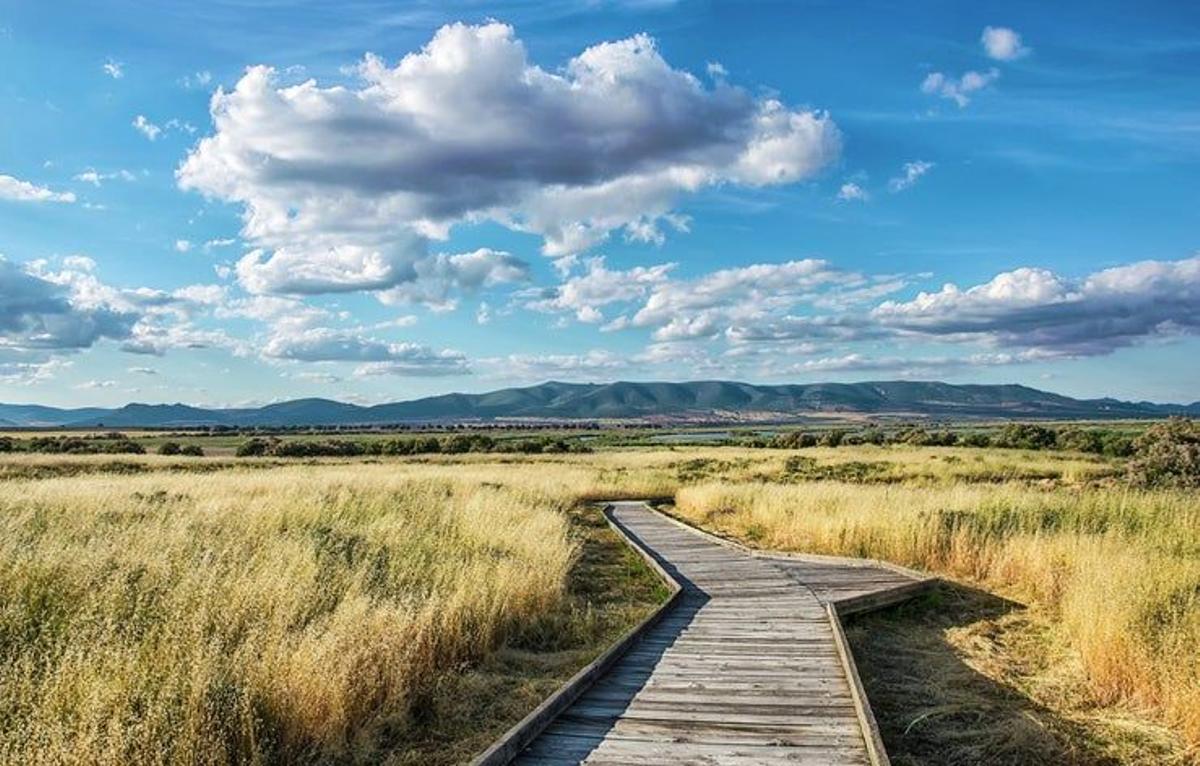 Tablas de Daimiel, Castilla La Mancha