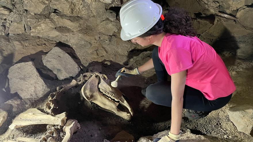 El yacimiento de las Cuevas de Malverde abrirá al público en el futuro tras los grandes hallazgos indígenas