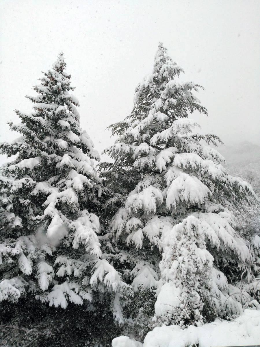 La nieve en primavera