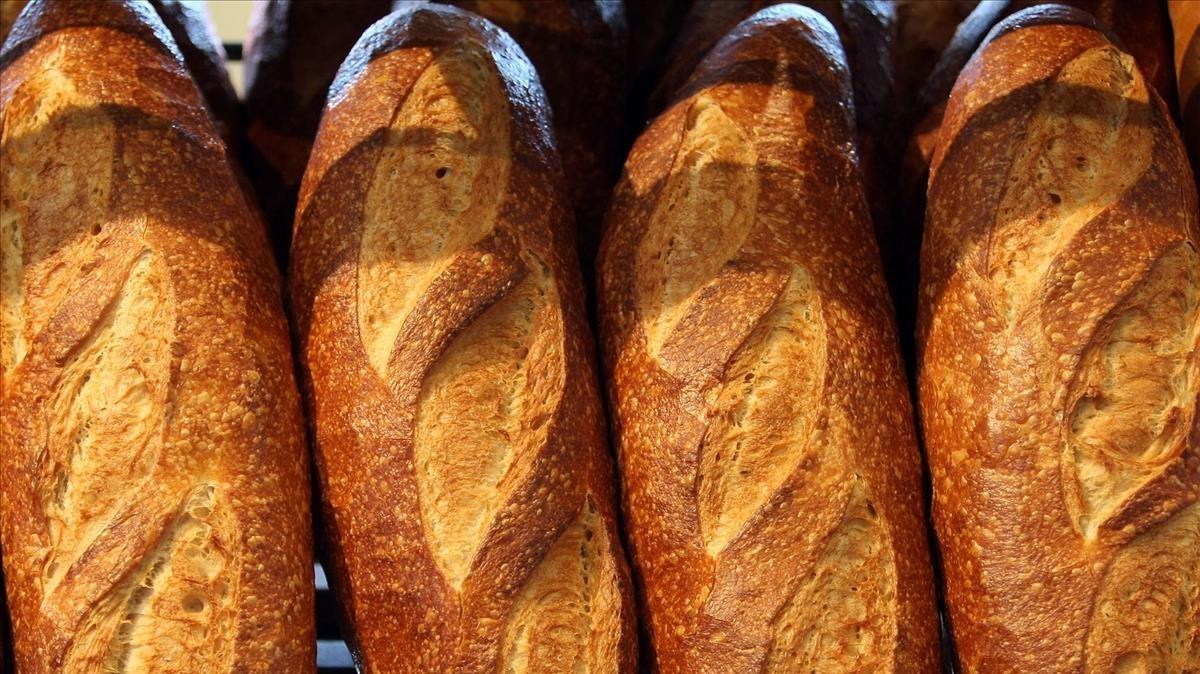 fcasals8851859 freshly baked loaves of sourdough bread are displayed at bou180505133335