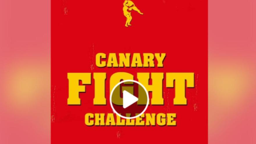 El &#039;Canary Fight Challenge&#039; que revoluciona las redes sociales