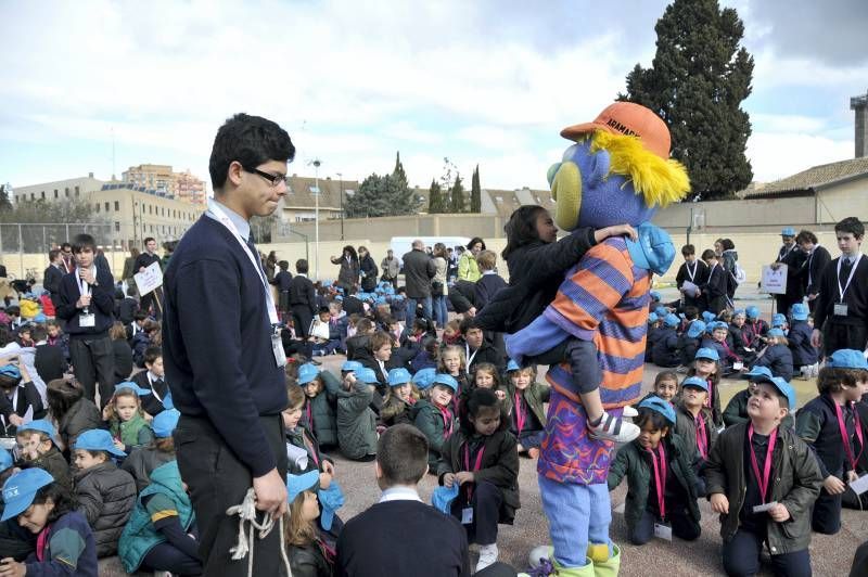 Fotogalería de la Babyolimpiada