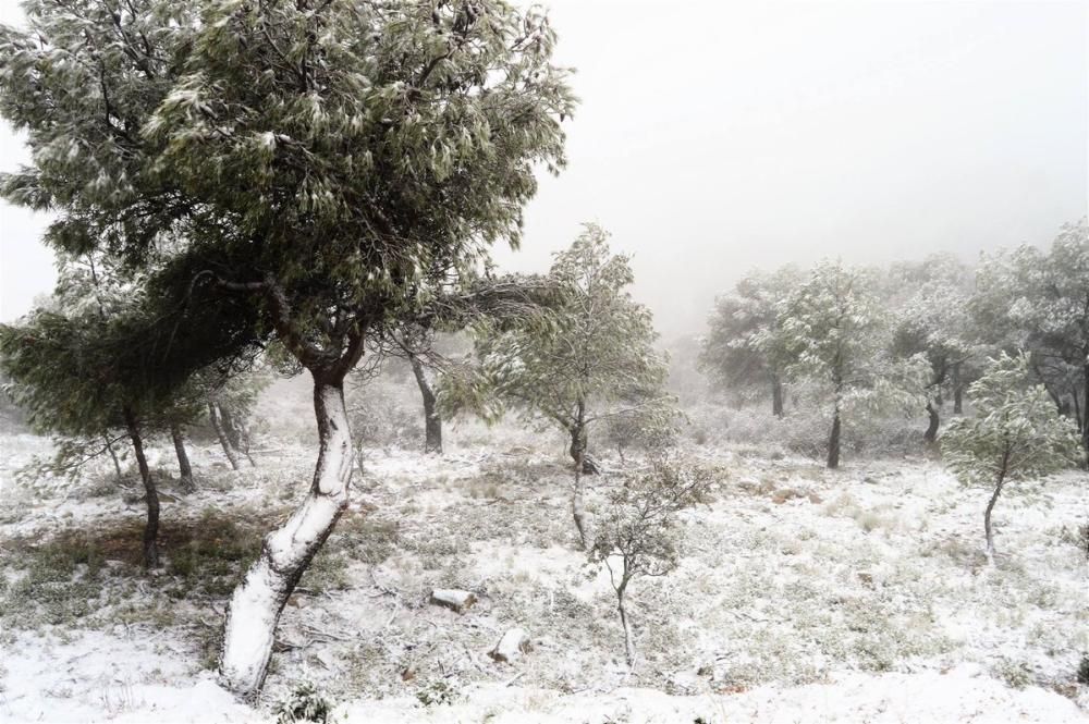 Vuelve a nevar en la Región de Murcia