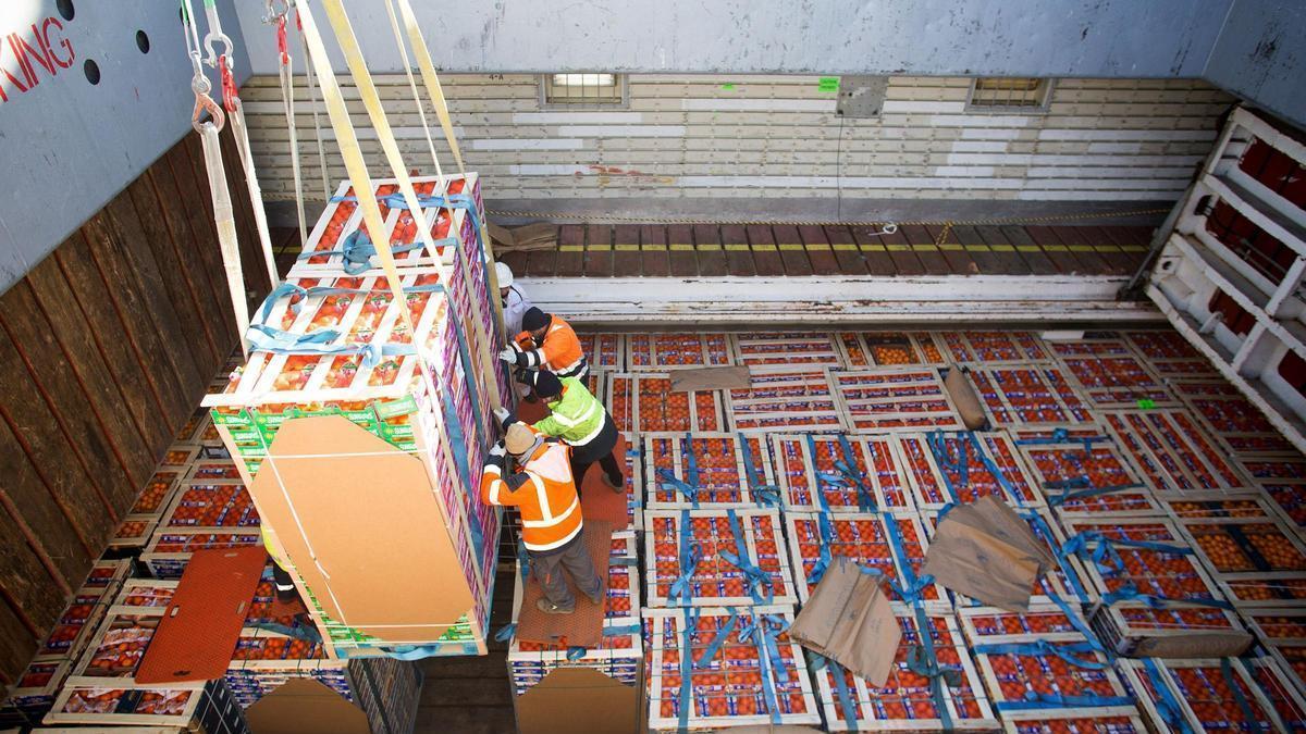 Varios trabajadores durante las labores de carga de un buque de naranjas.