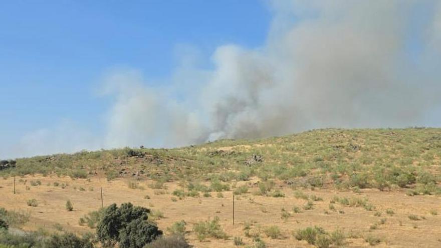Activado el nivel 1 por un incendio forestal en Plasencia ante la posible afección a carreteras