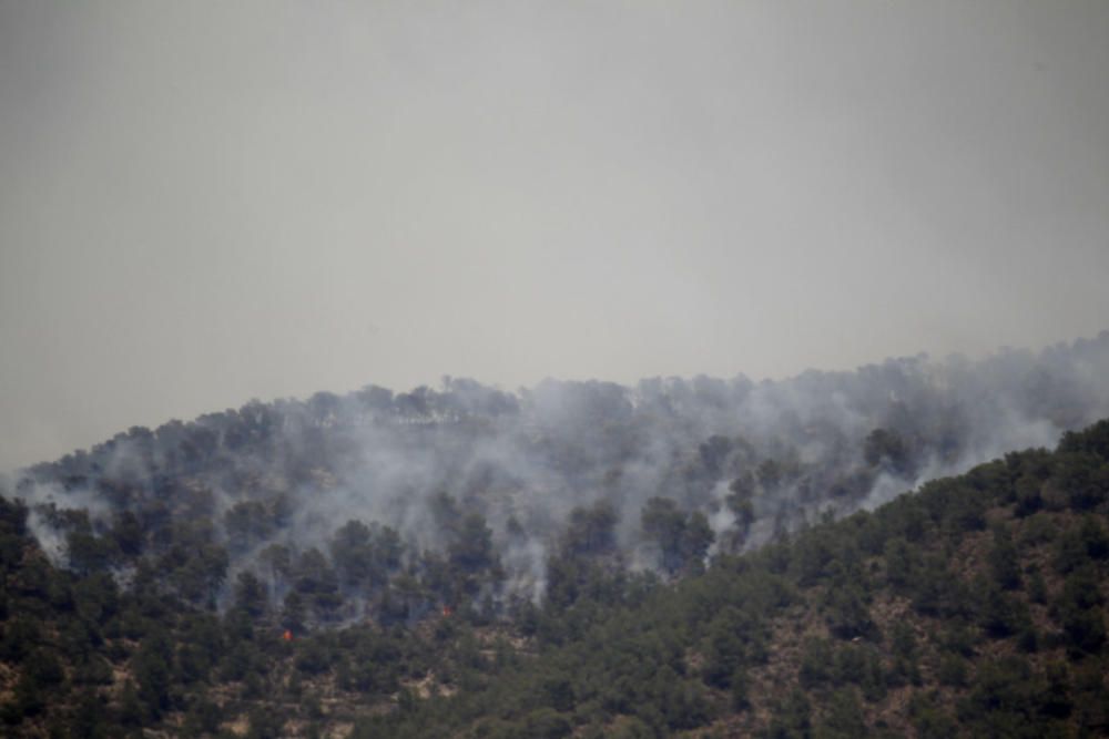 Andilla: ocho años desde su gran incendio