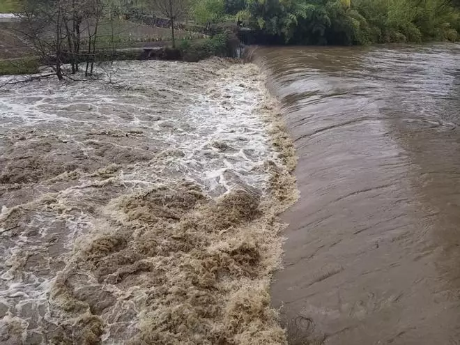 Pujada de cabal del riu Fluvià a Olot