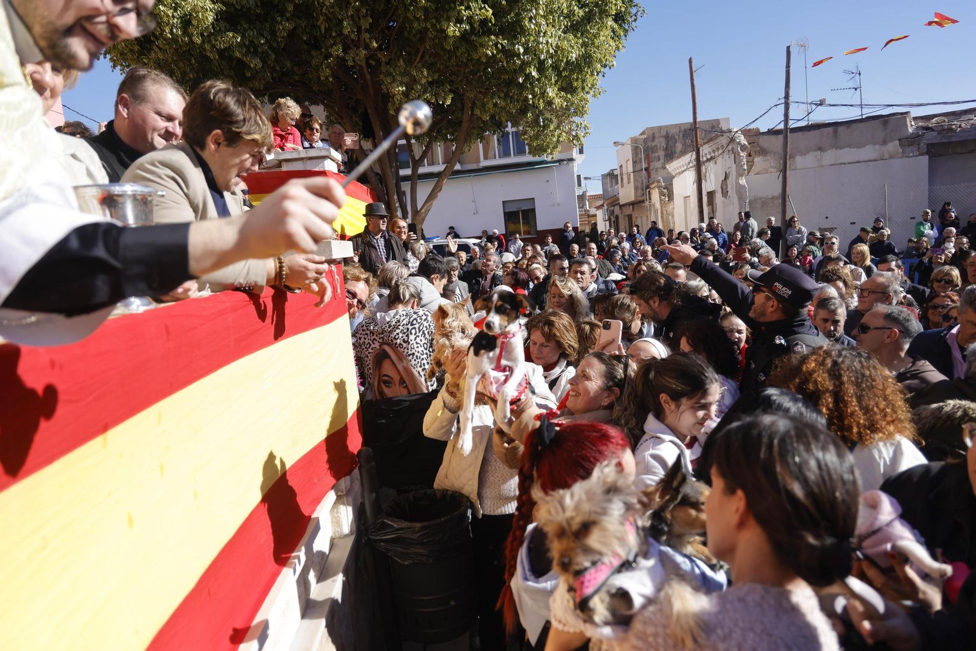 FOTOS: los mejores momentos de la bendición de animales por San Antón en Cartagena