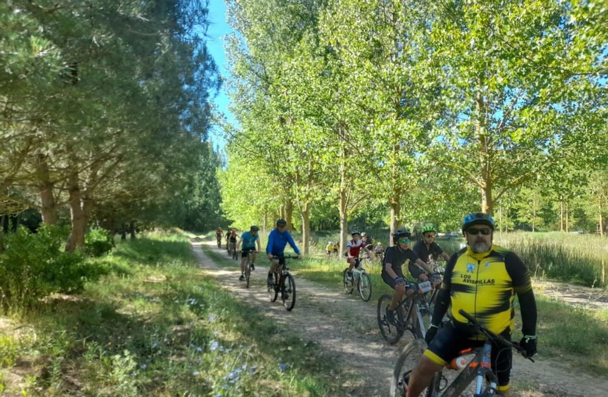 Algunos de los ciclistas por el trayecto | P. O.