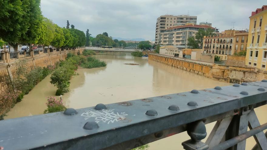 La crecida del río se traga la Sardina y los márgenes a su paso por Murcia