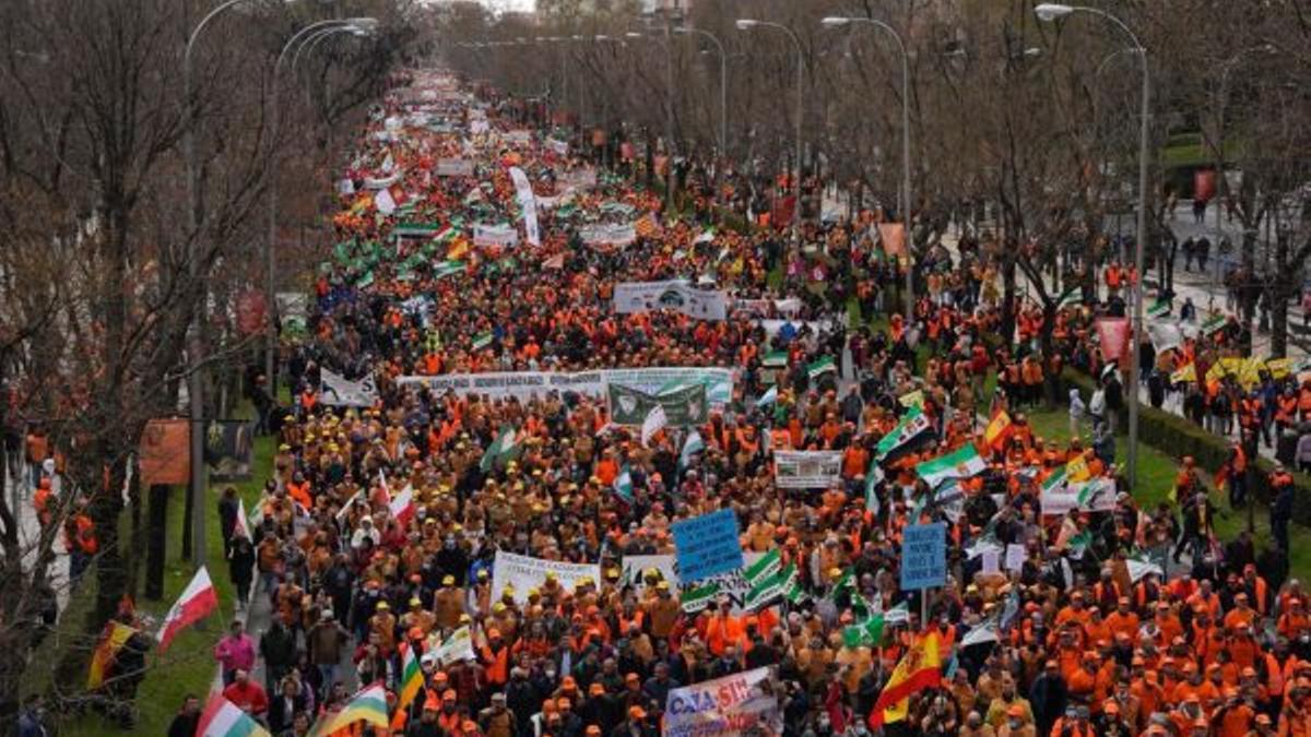 Después de la histórica manifestación del 20 de marzo, que reunió en Madrid a más de medio millón de cazadores, la Federación de Caza de la Comunidad Valenciana continúa trabajando de manera intensa para frenar la aprobación de la ley.