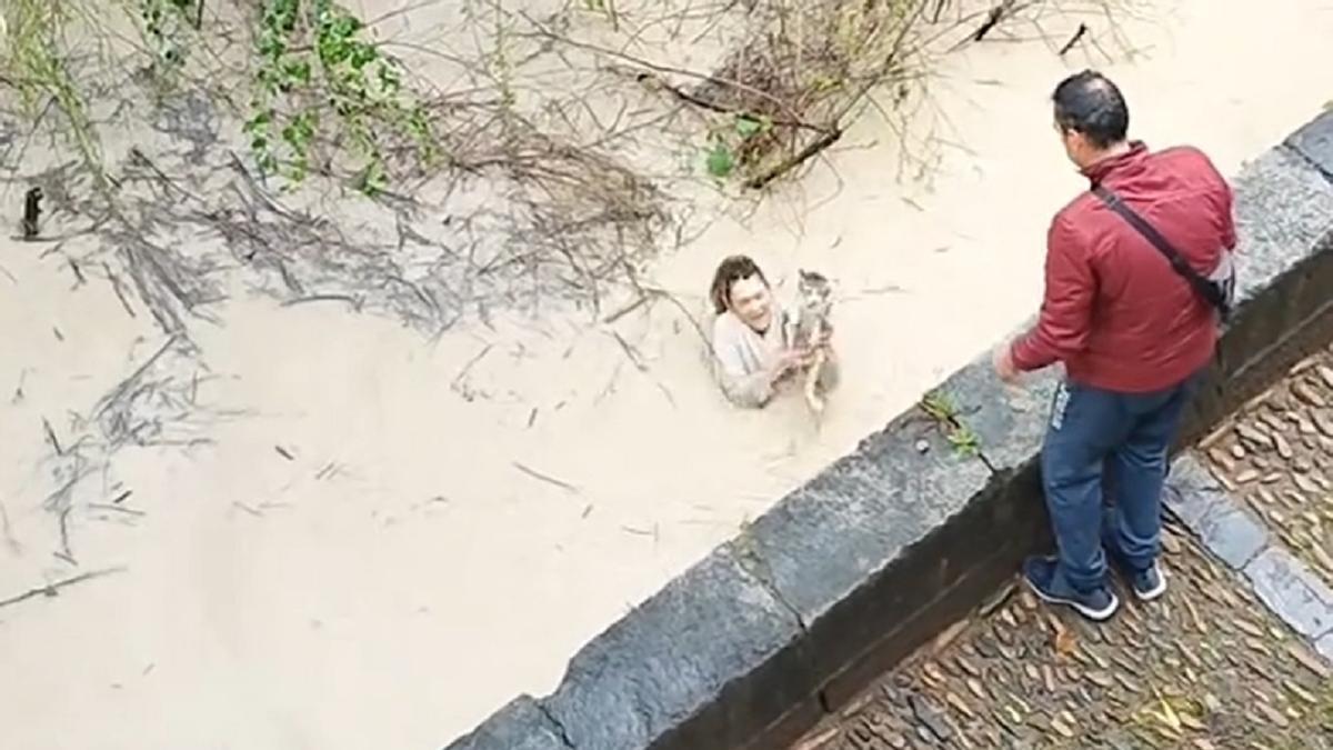 El vídeo de una cordobesa lanzándose al río para rescatar a un gato se viraliza en las redes