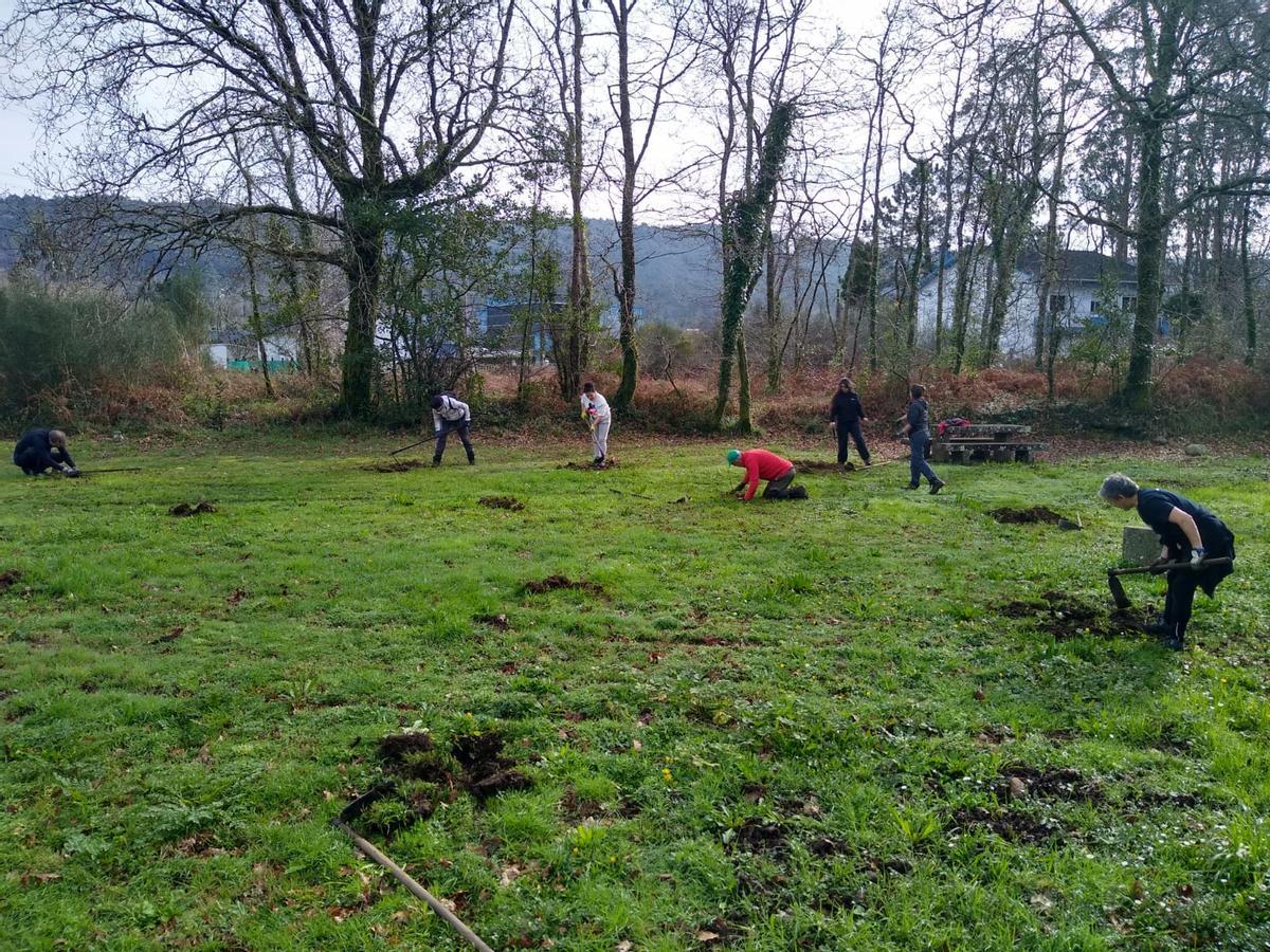 Un grupo de voluntarios participando nunha das actividades encadradas no proxecto Renatur_Outes.