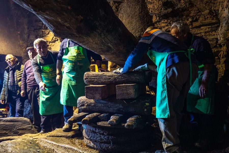 Elaboración de aceite en el molino de Latedo