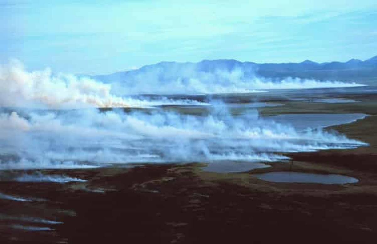 Incendio en la tundra, en una zona de turba