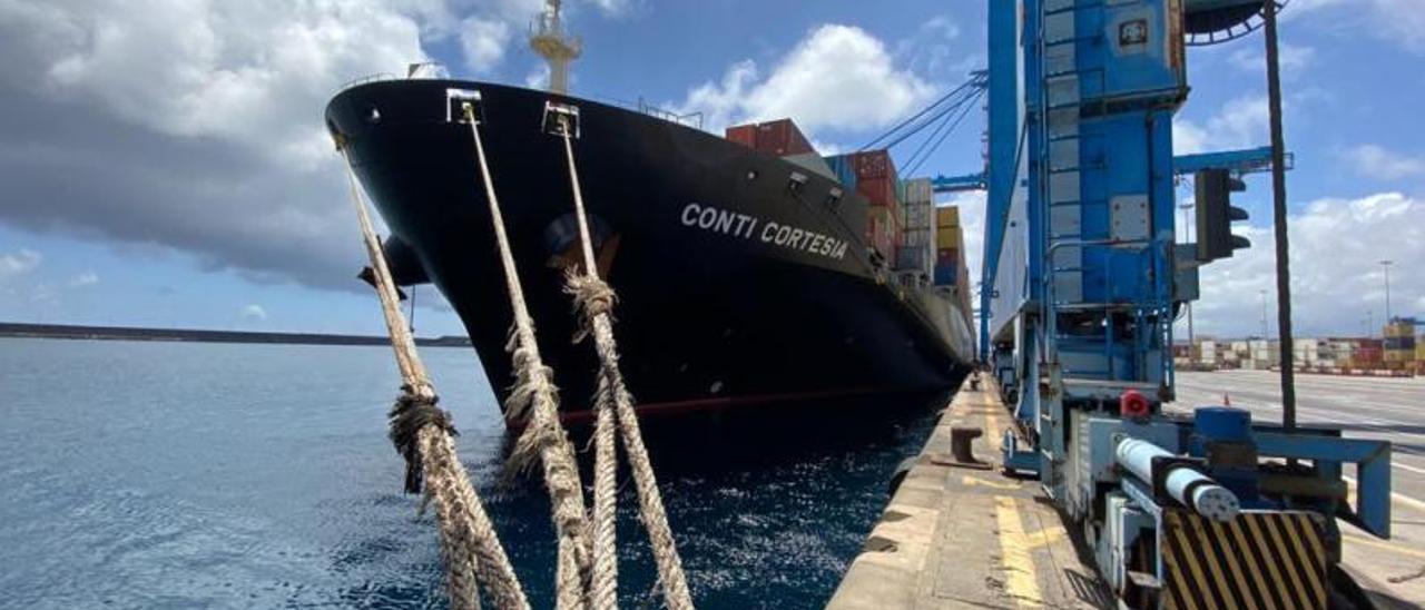 El portacontenedores ‘Conti Cortesia’, atracado ayer en la terminal de Operaciones Portuarias Canarias (Opcsa) en el Puerto de Las Palmas. | | LP/DLP