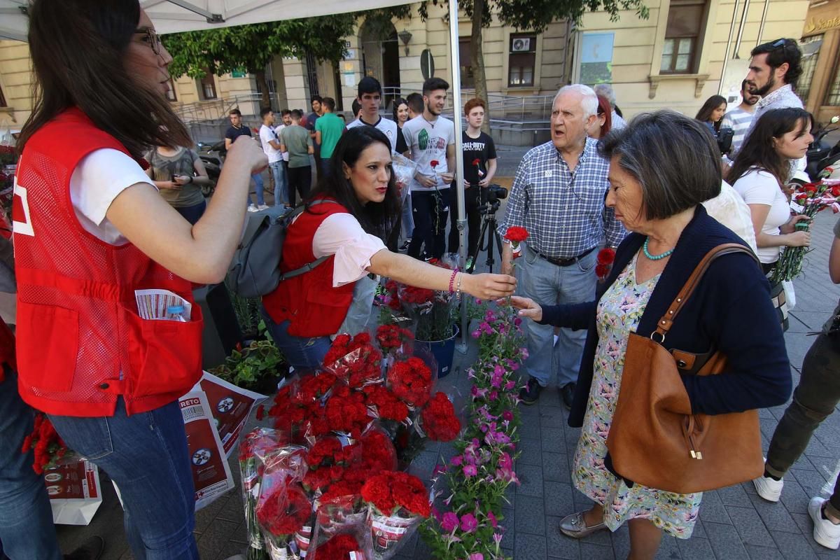 Cruz Roja reparte claveles por la igualdad