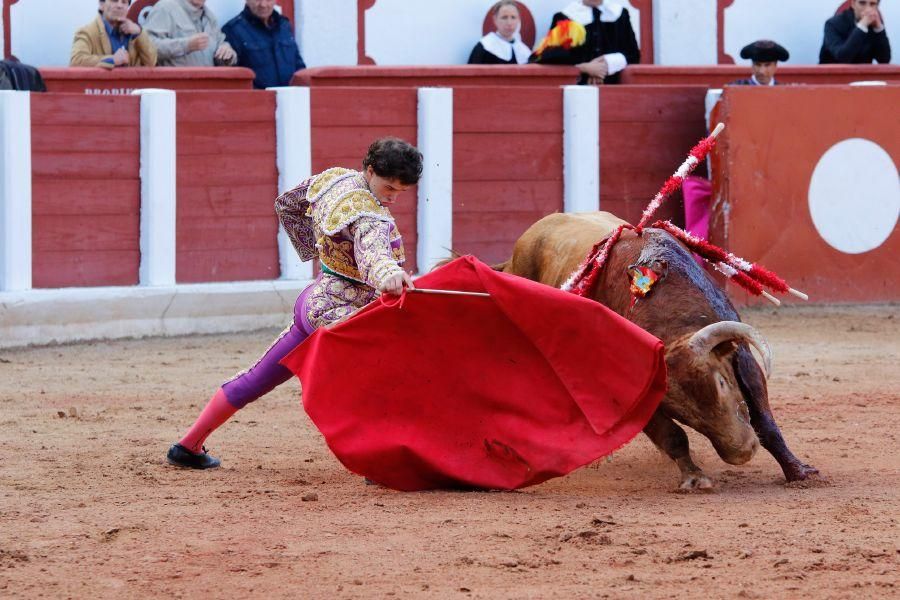 Tarde de toros en Zamora