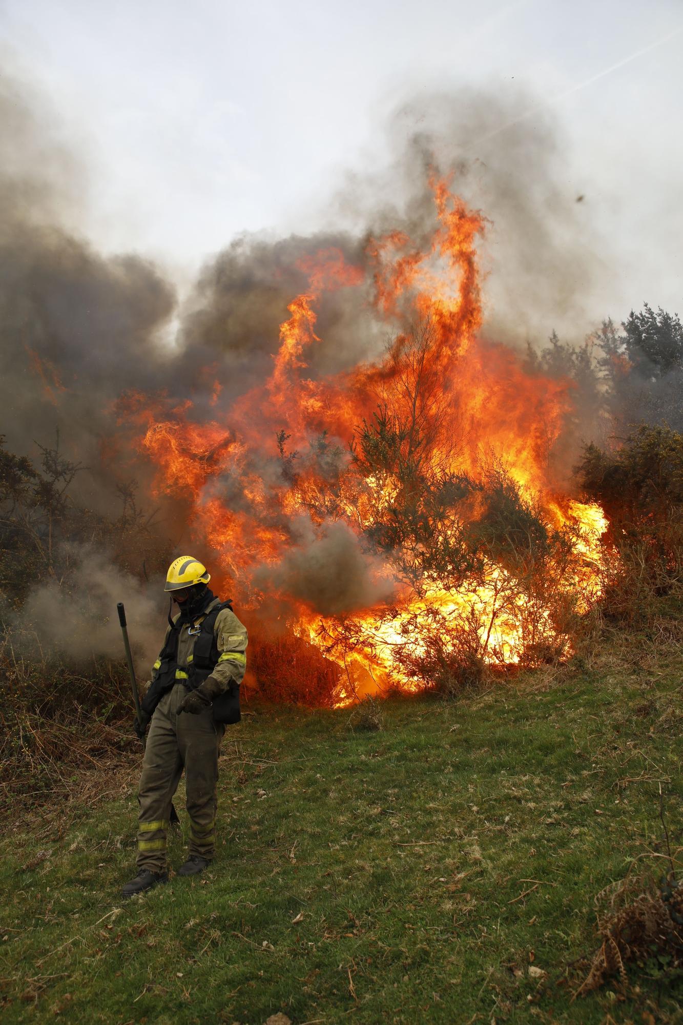 La lucha contra el fuego en el incendio entre Nava y Piloña