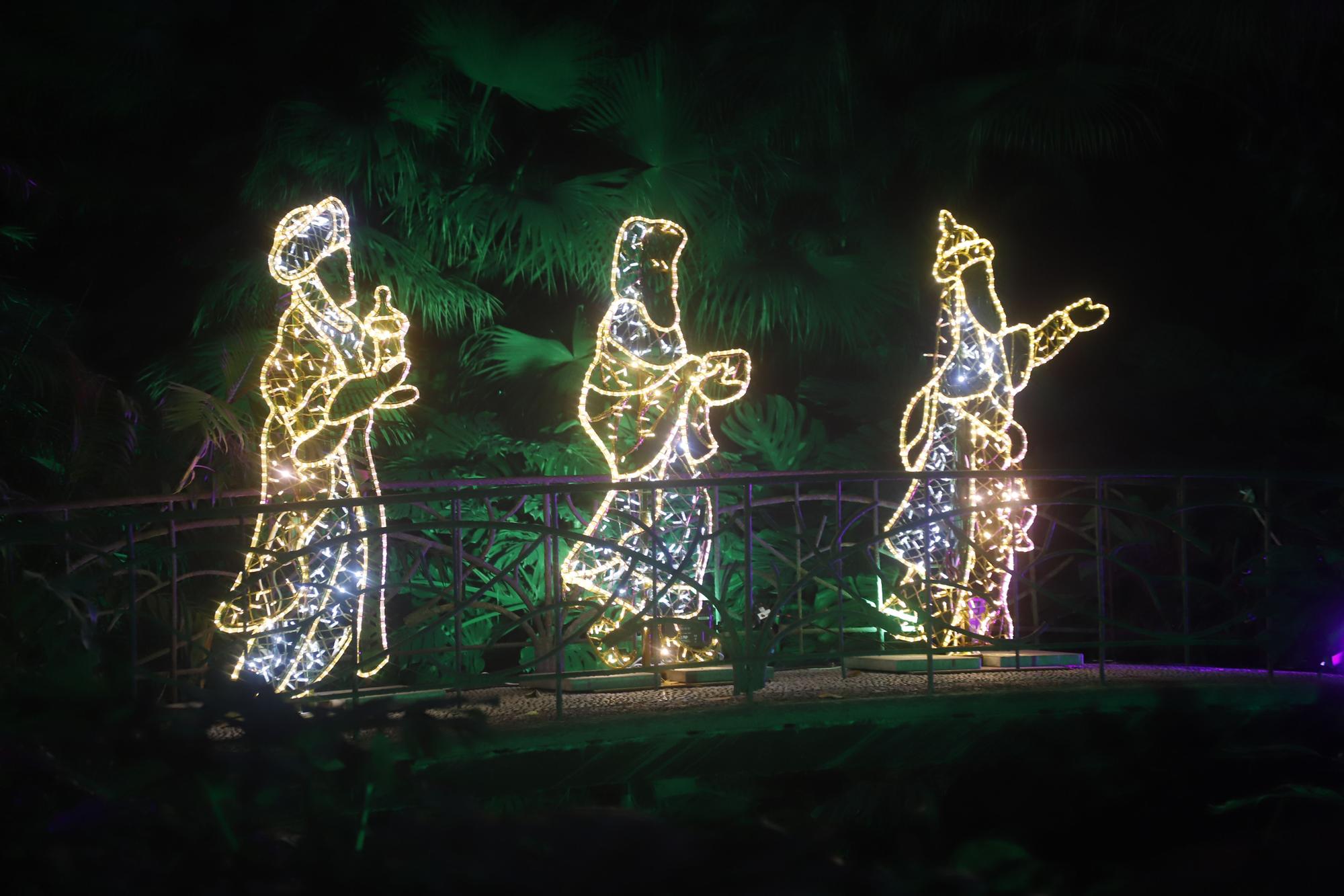 El Jardín Botánico Histórico La Concepción enciende sus luces de Navidad