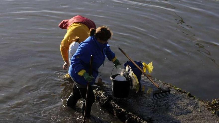 Mariscadoras en la ría de Arousa.