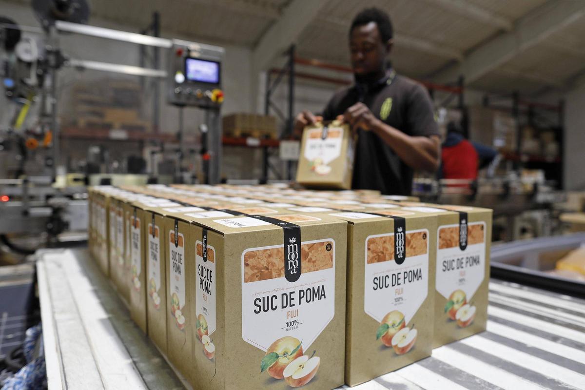 Pau i Guillem Frigola, propietaris de Mooma, i els seus productes