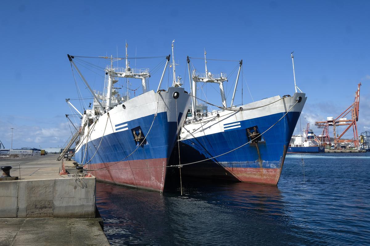 Los buques 'Kapitan Rusak' y 'Profesor Mikhaylo Alexandrov', en el Puerto de Las Palmas, en una imagen de archivo.