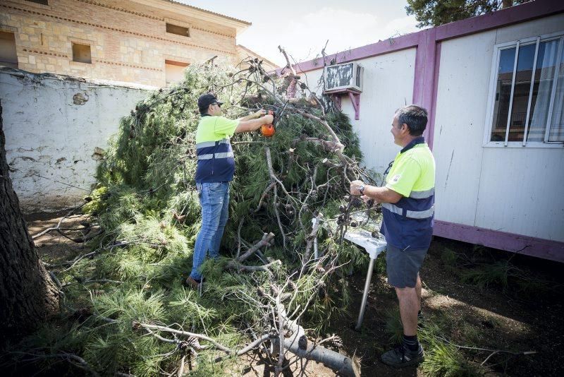 Efectos de la tormenta en Longares