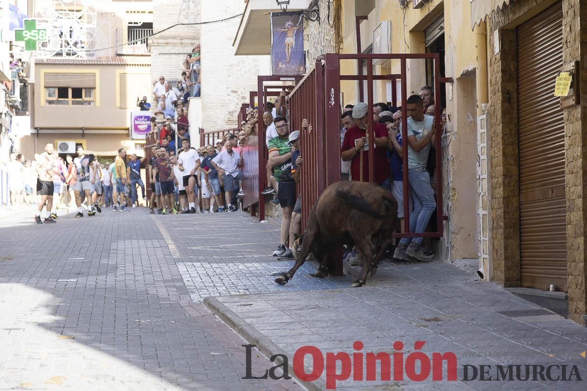 Cuarto encierro en las Fiestas de Moratalla