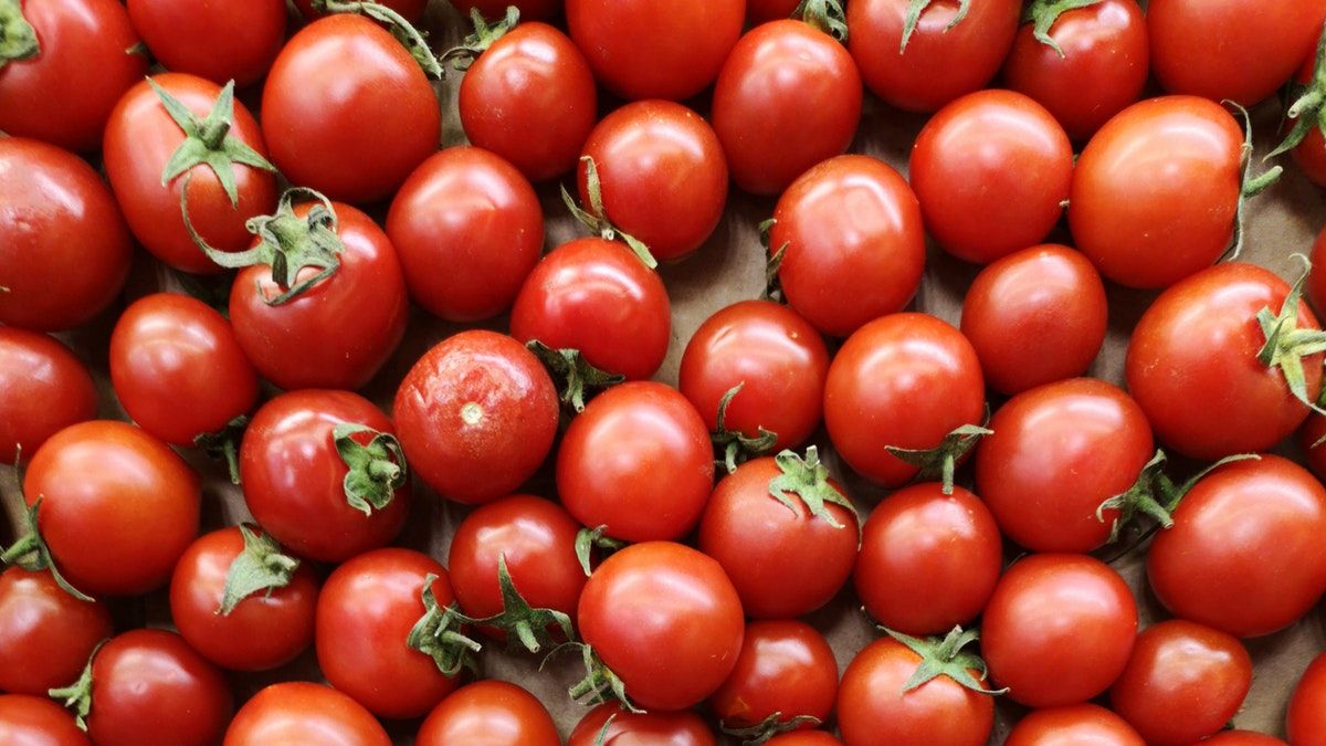 Los tomates transgénicos se convierten en la mejor fuente de vitamina D