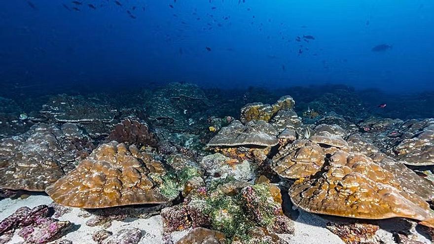 La Tierra está viviendo los eventos de El Niño más intensos de los últimos 1.000 años