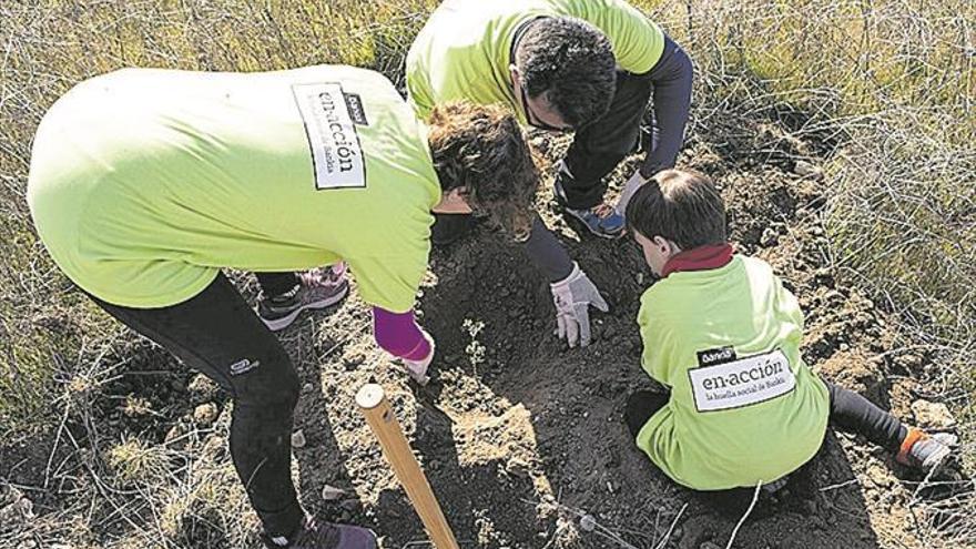 Bankia i Fundació Bancaixa recolzen la sostenibilitat