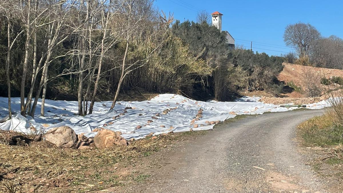 La lona ecològica instal·lada en la ribera del llit del riu Palància a l’altura de Gilet