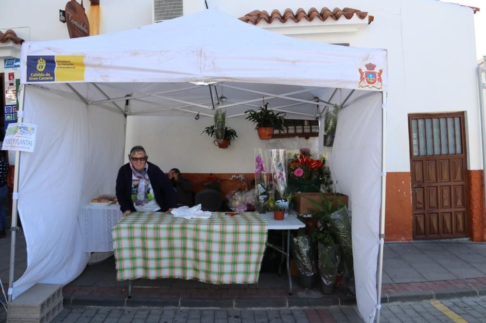 Feria de las Tradiciones en Artenara