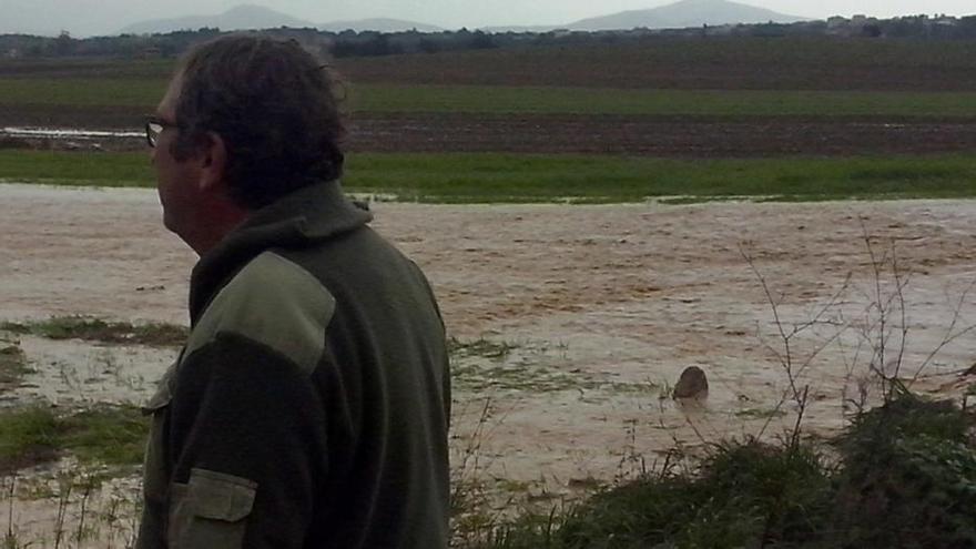 Terrenos inundados en Maria de la Salut