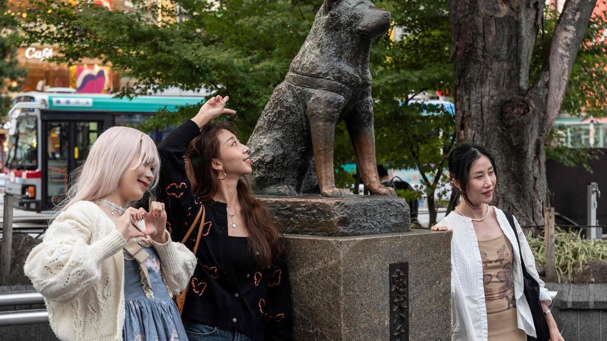 La estatua del perro, en Shibuya.