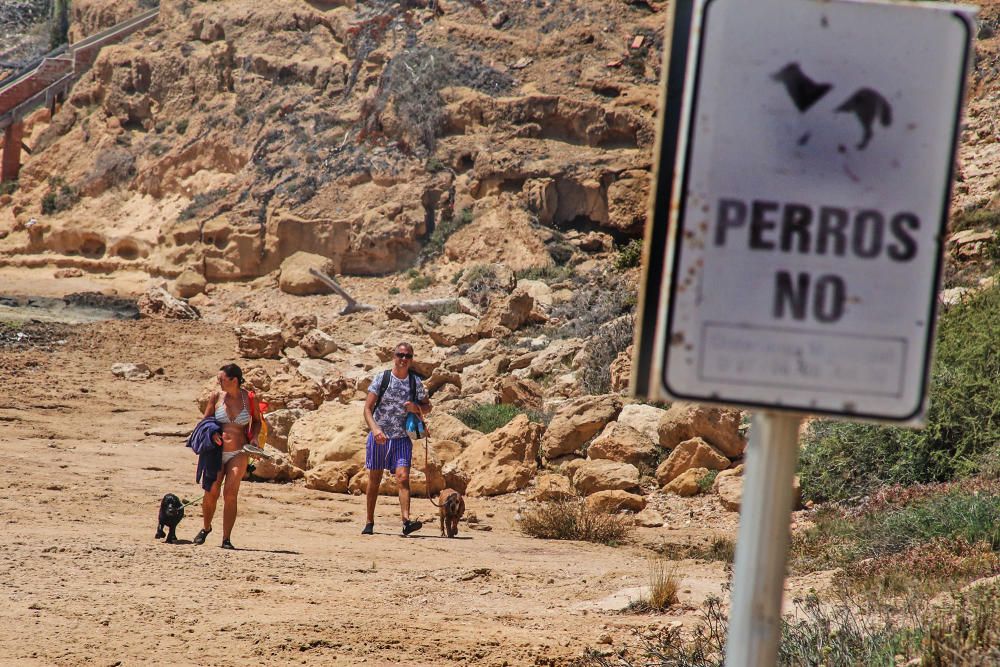 Los bañistas aseguran que no están en contra de la medida pero reclaman que se zonifique la playa para usuarios con perros y sin perros