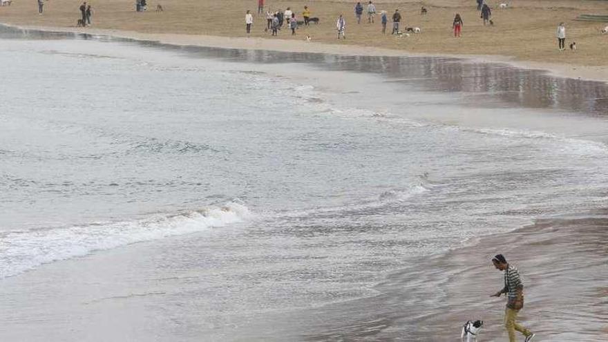 Usuarios de la playa gijonesa de San Lorenzo despiden el verano a la orilla del mar.