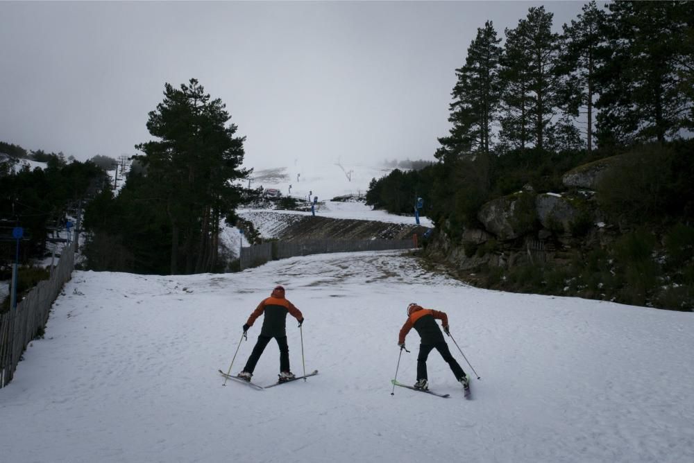 Se hace la nieve en Ourense. // Brais Lorenzo