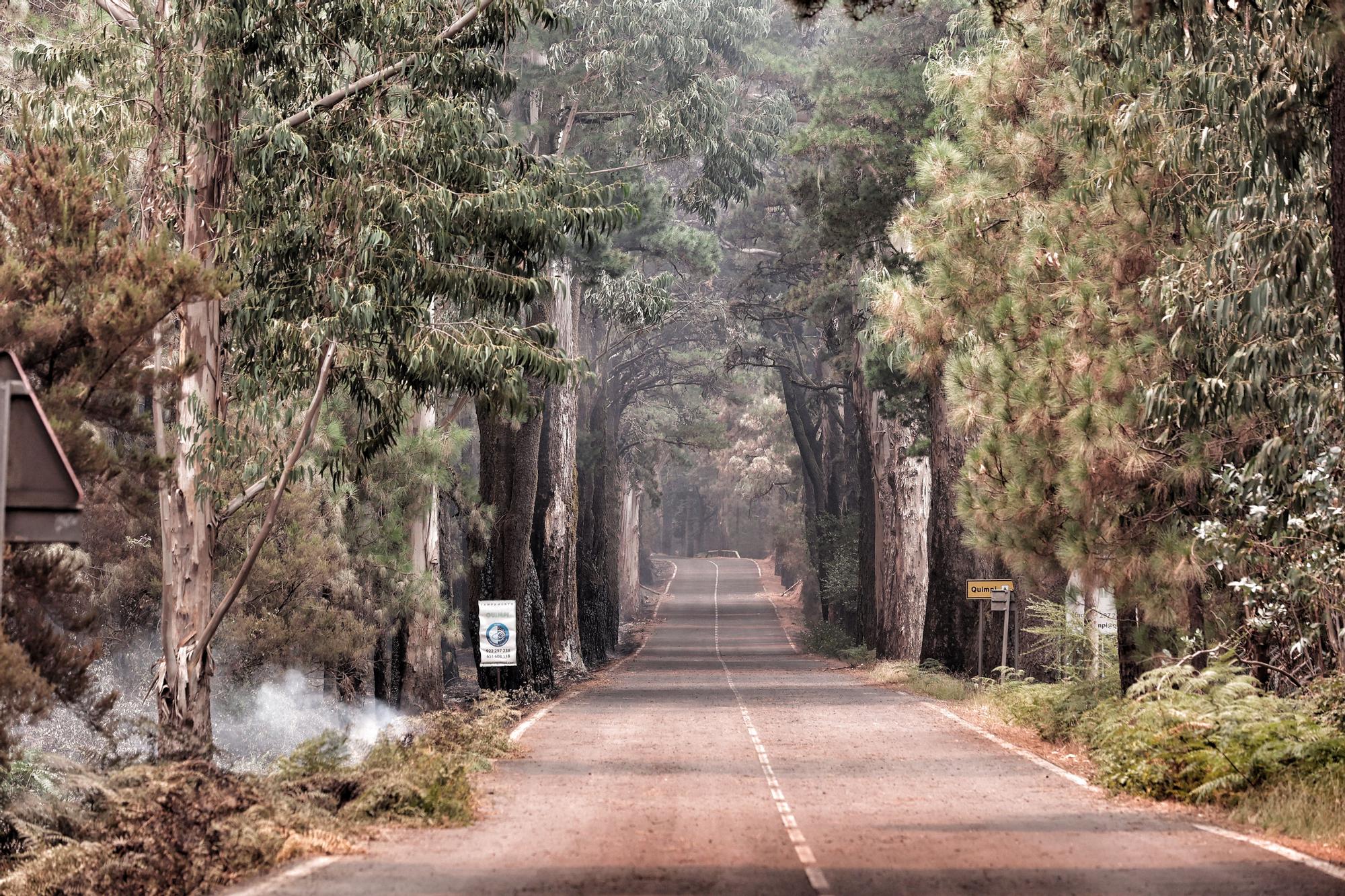 Evolución del incendio en Tenerife