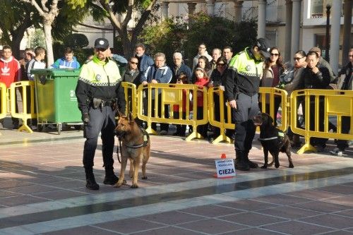 Exhibición canina en Cieza