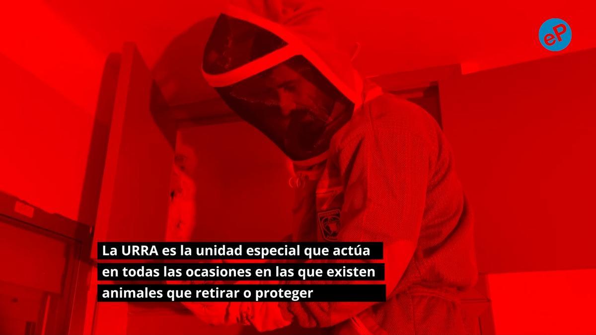 Así actúa la Unidad de Rescate y Recuperación Animal de los Bomberos de Zaragoza