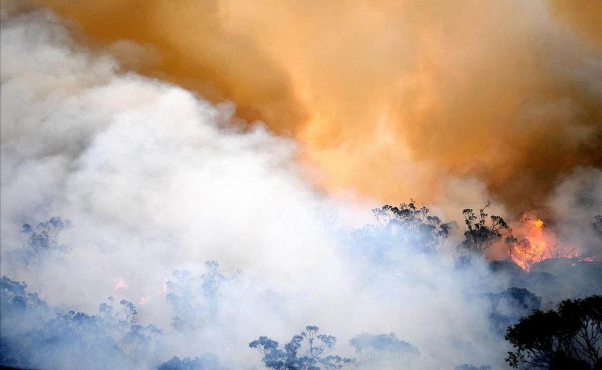 Humo y llamas en una quema controlada en un área forestal con el objetivo de asegurar las zonas residenciales de los incendios forestales en el área de Spencer, en la costa central de Australia, uno 100 klómetros al norte de Sydney.