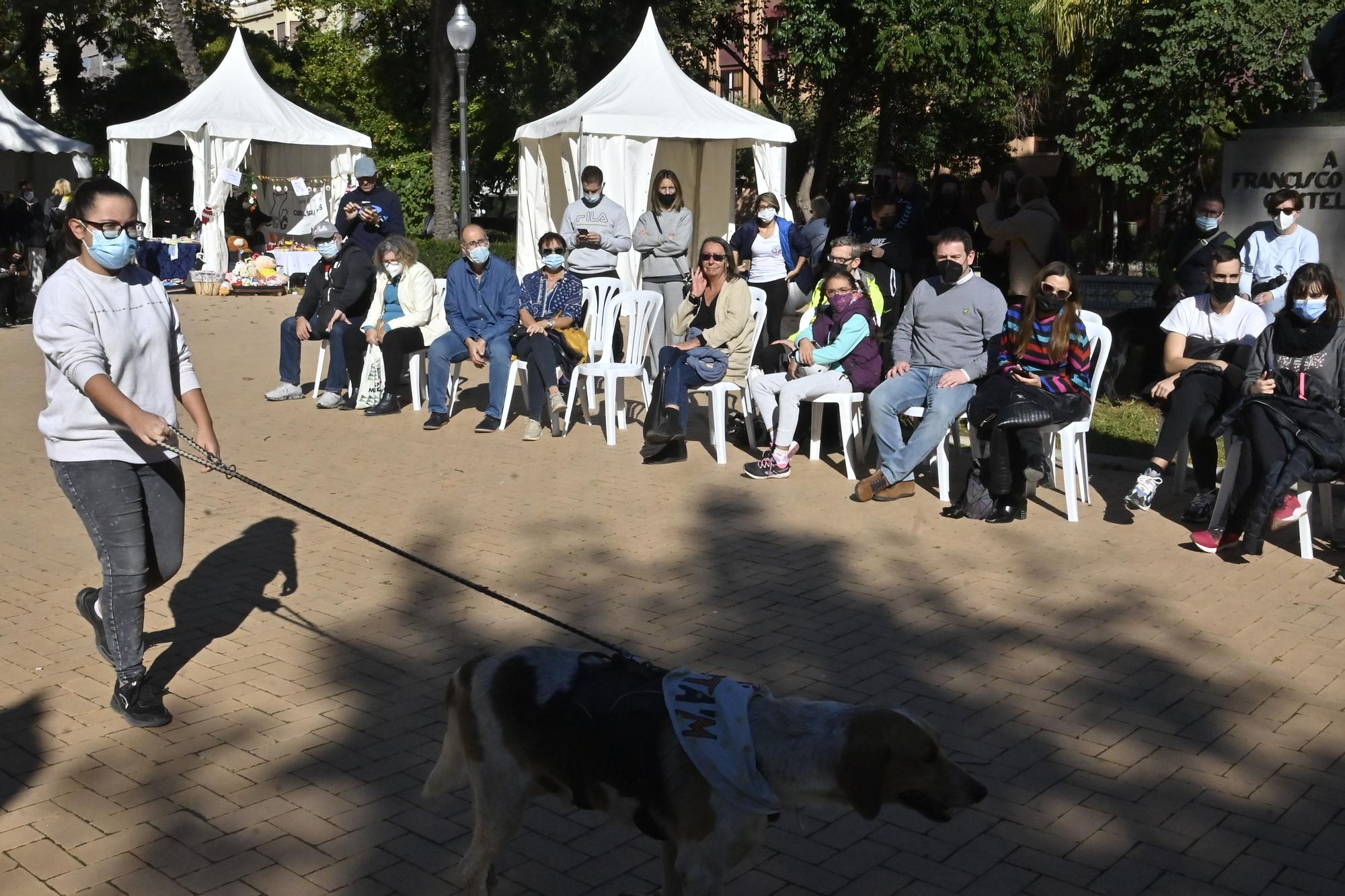 Primera jornada del VI Festival de la Adopción de Castelló