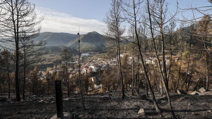 El poniente amaina y facilita el retorno de más evacuados