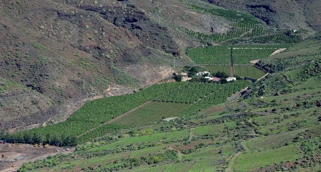 VENEGUERA BARRANCO MOGÁN TABAIBALES CARRETERA ...