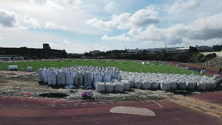 El campo de la ULL ya tiene césped