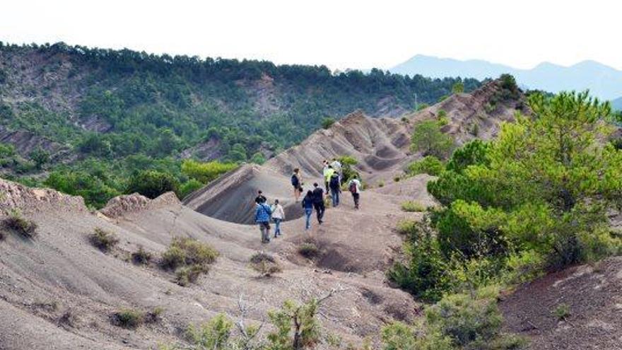 Dinosfera activa un programa per a l&#039;estiu